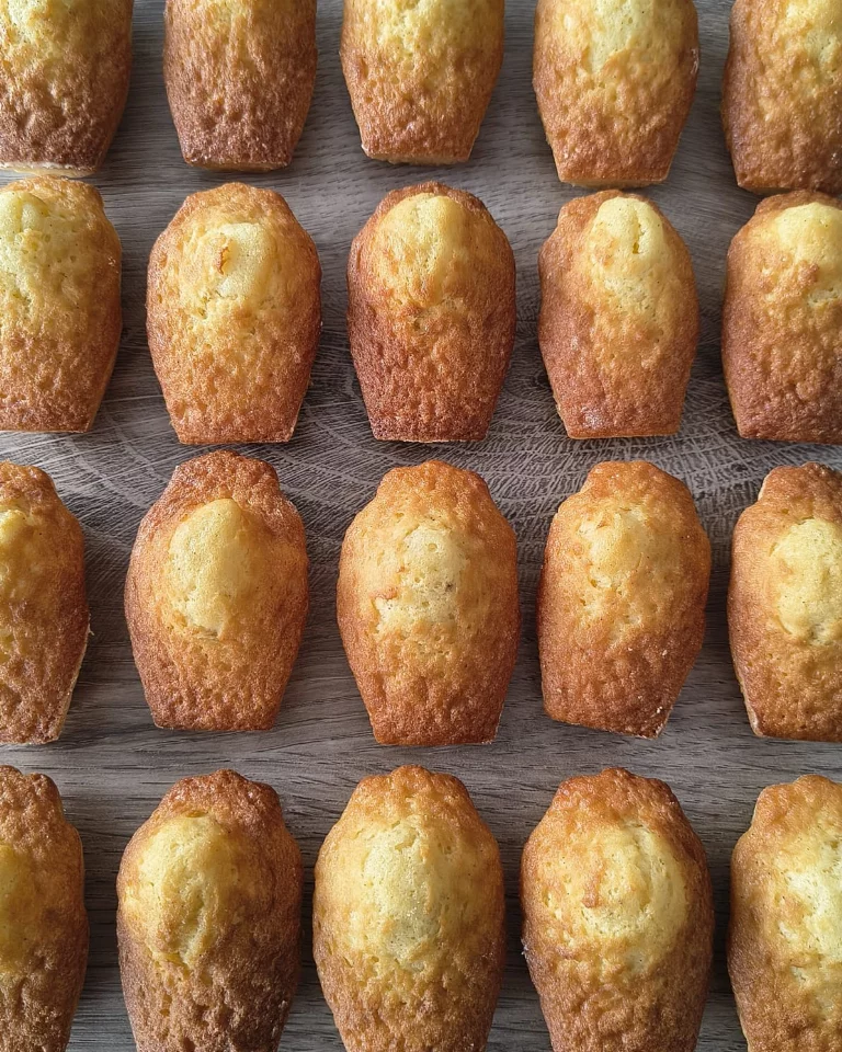 Madeleines